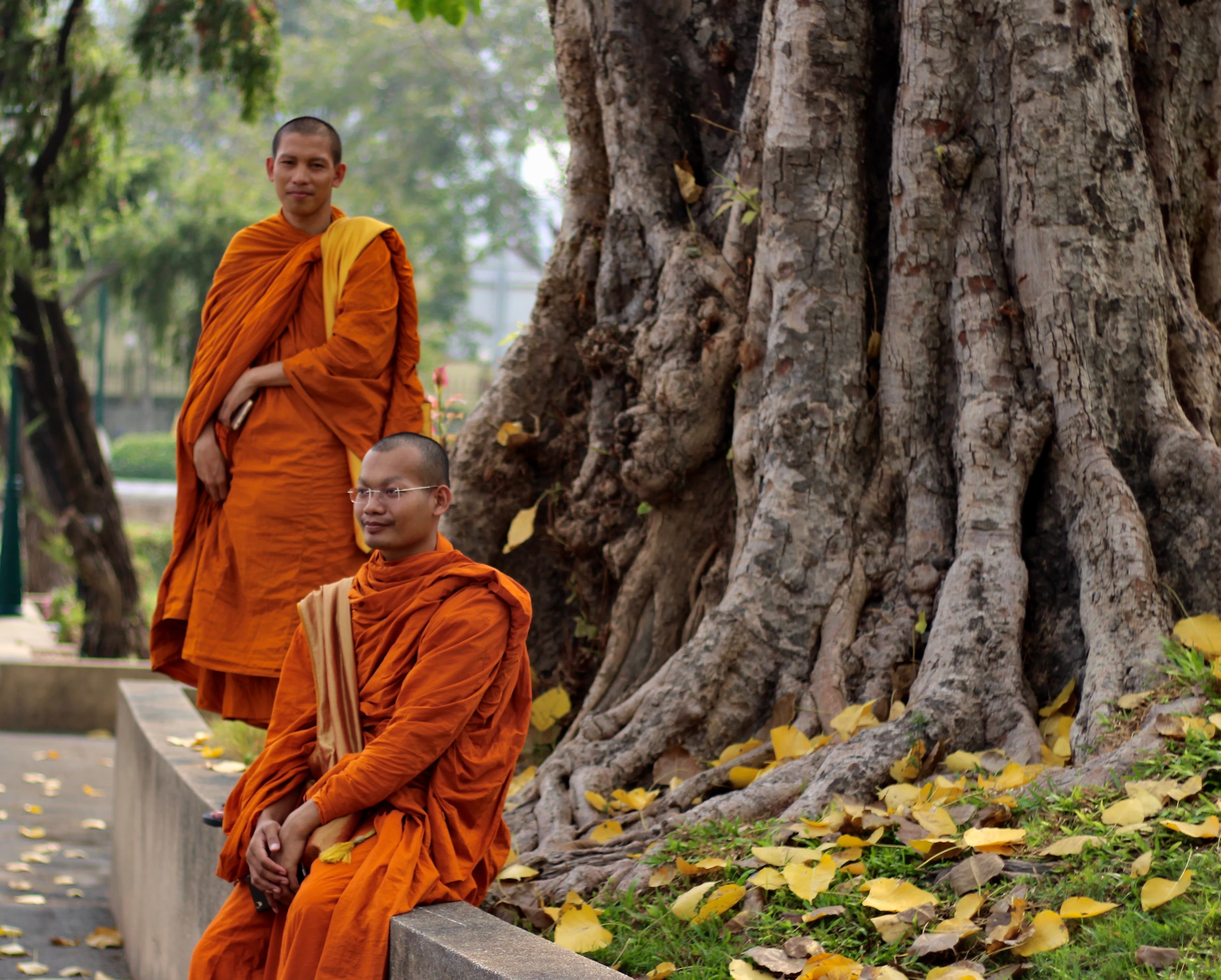 Two Buddhist monks in orange robes rest beside a large tree with thick, gnarled roots.