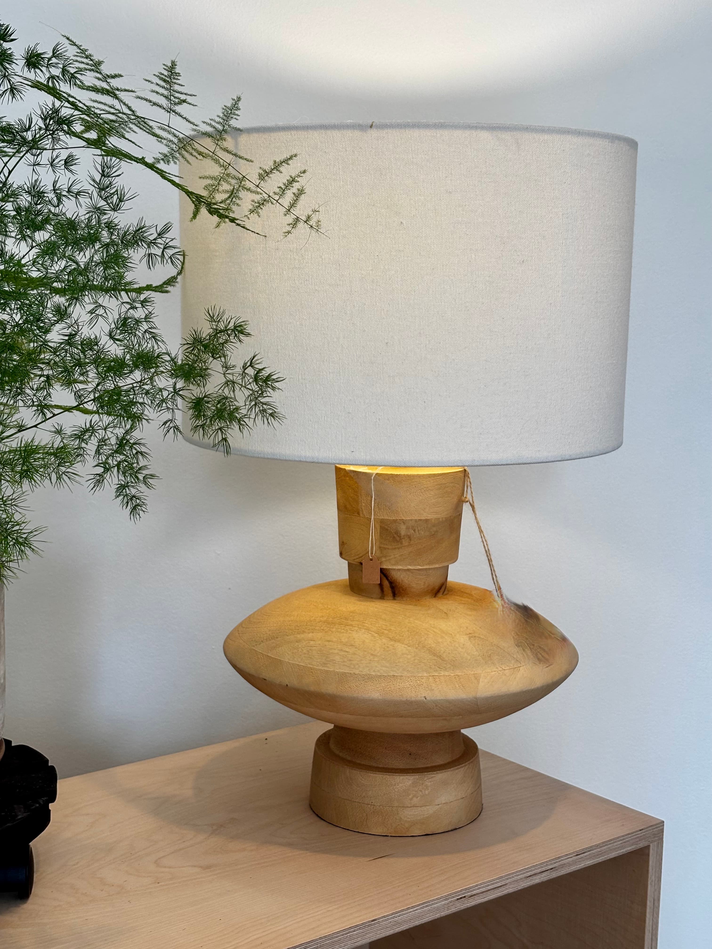 Sculptural wooden lamp with a large white drum shade next to a feathery green plant.