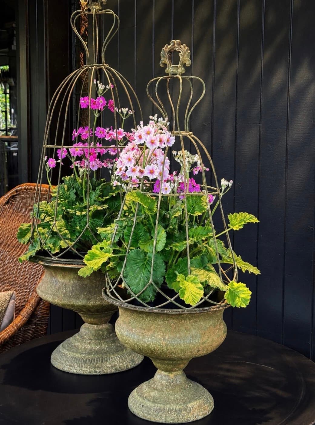 Pink and light pink primroses inside decorative wire cages atop two weathered metal urns.